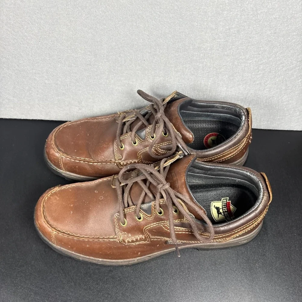 Irish Setter overall still